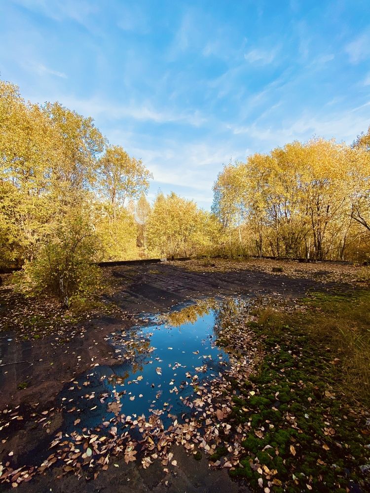Photograph by Анастасия Косаревская