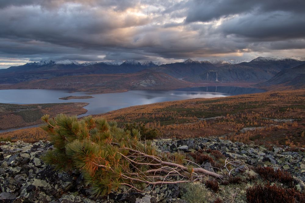 Фотография автора Nadezhda Okorokova