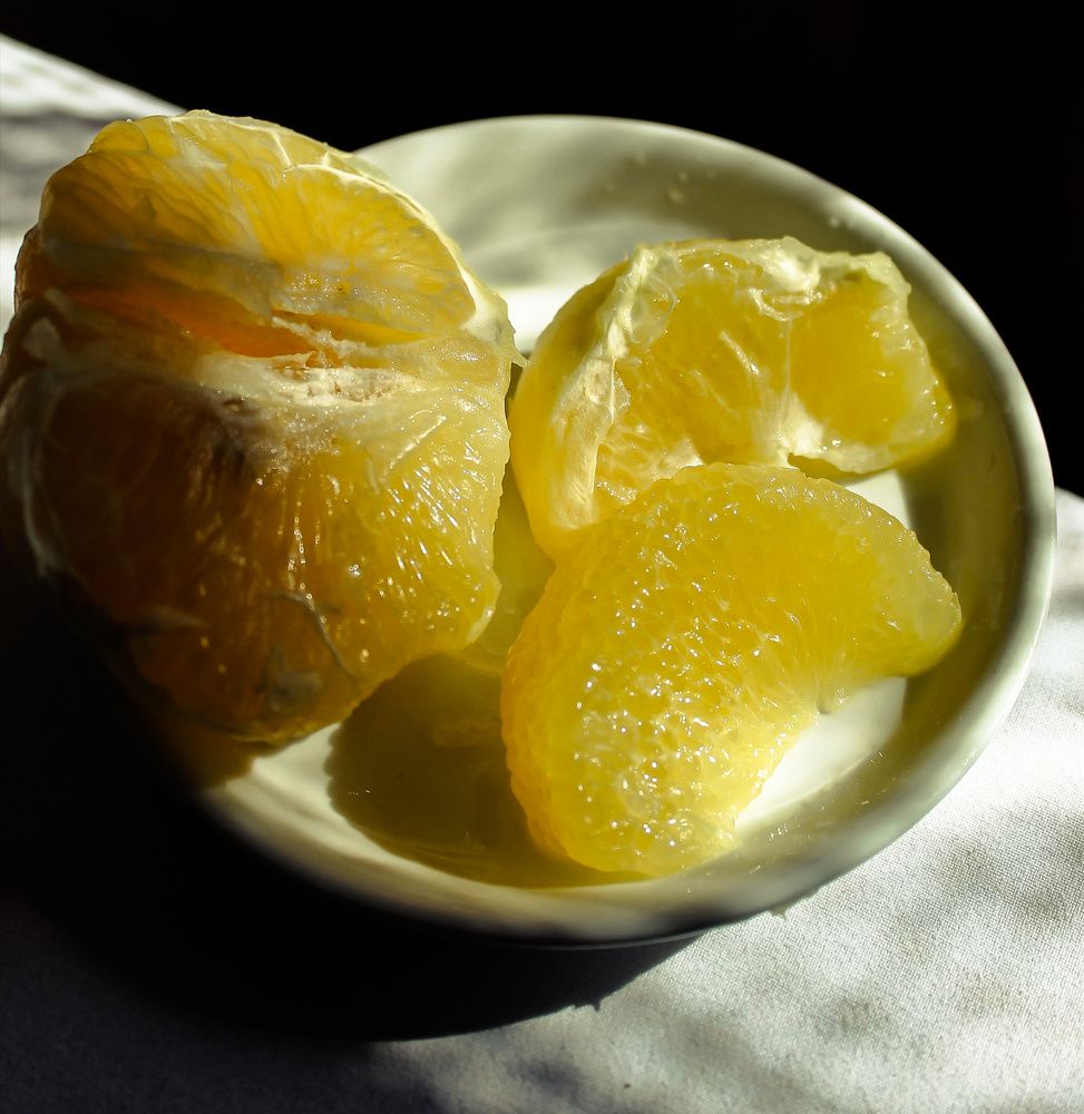 Photograph by Elizaveta Semenova