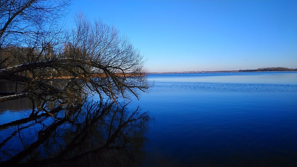 Photograph by Елена