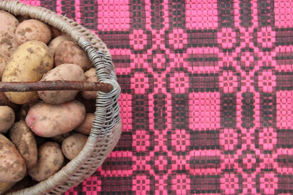 Photograph by Елена Апанель