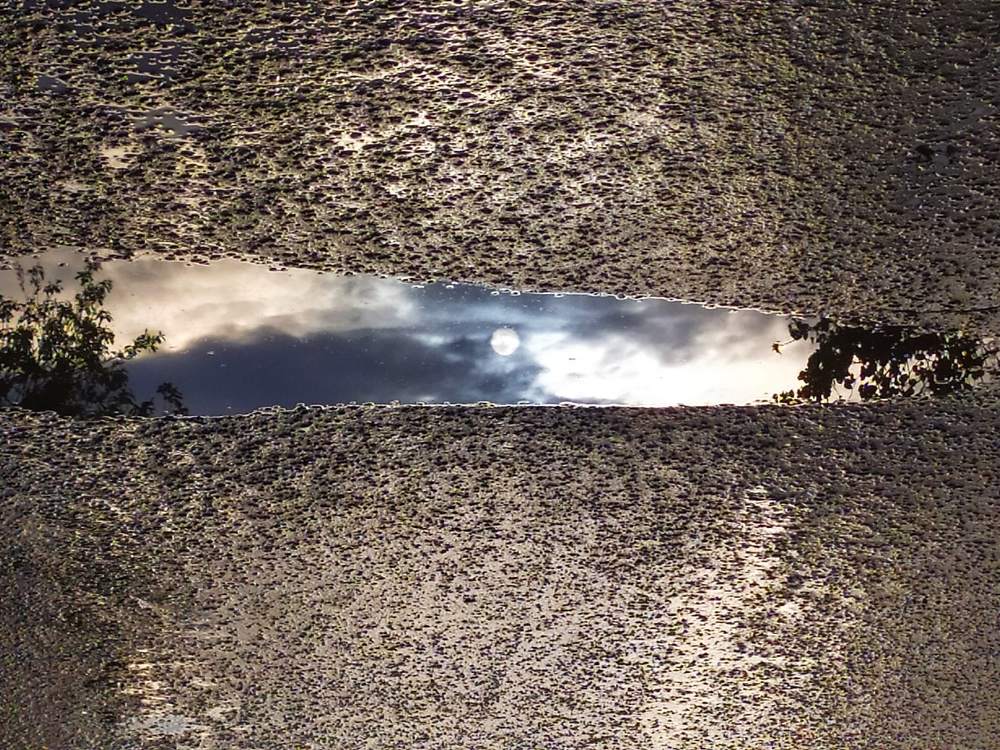 Photograph by Анастасия