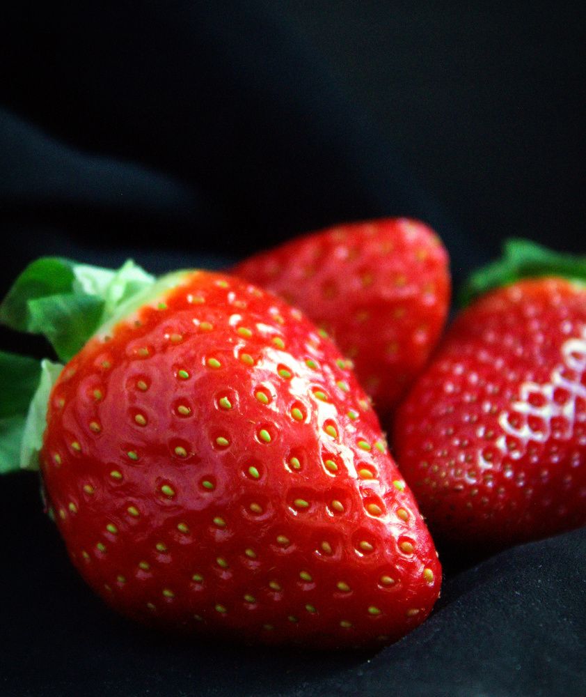 Photograph by Elizaveta Semenova