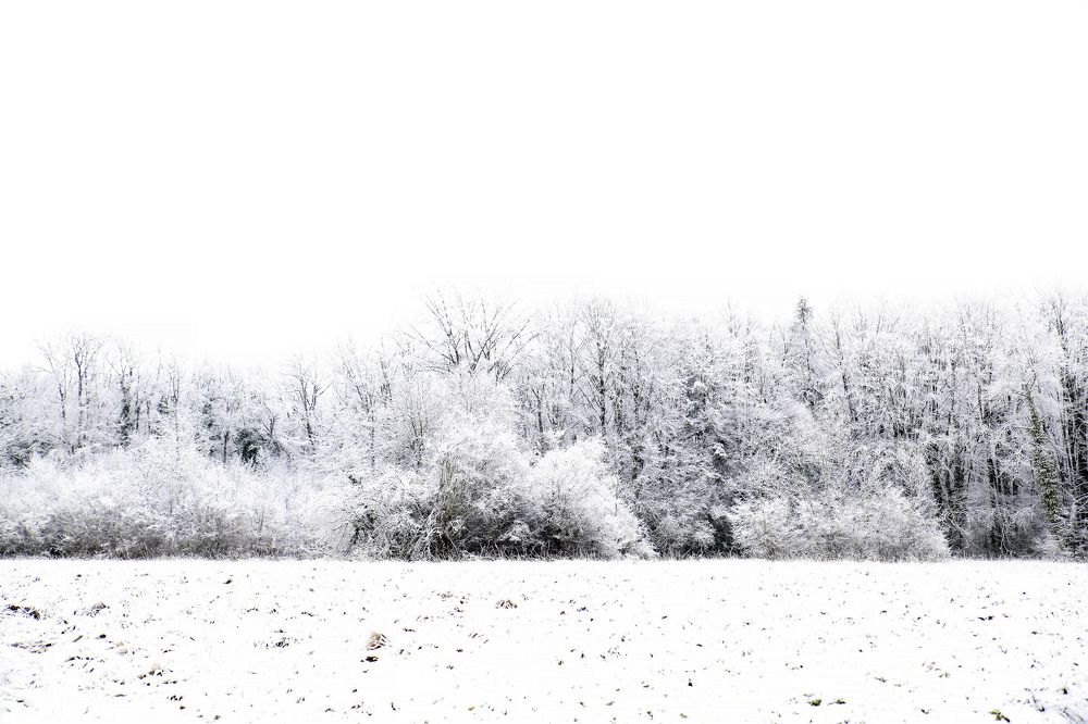 Photograph by stephane laurencin