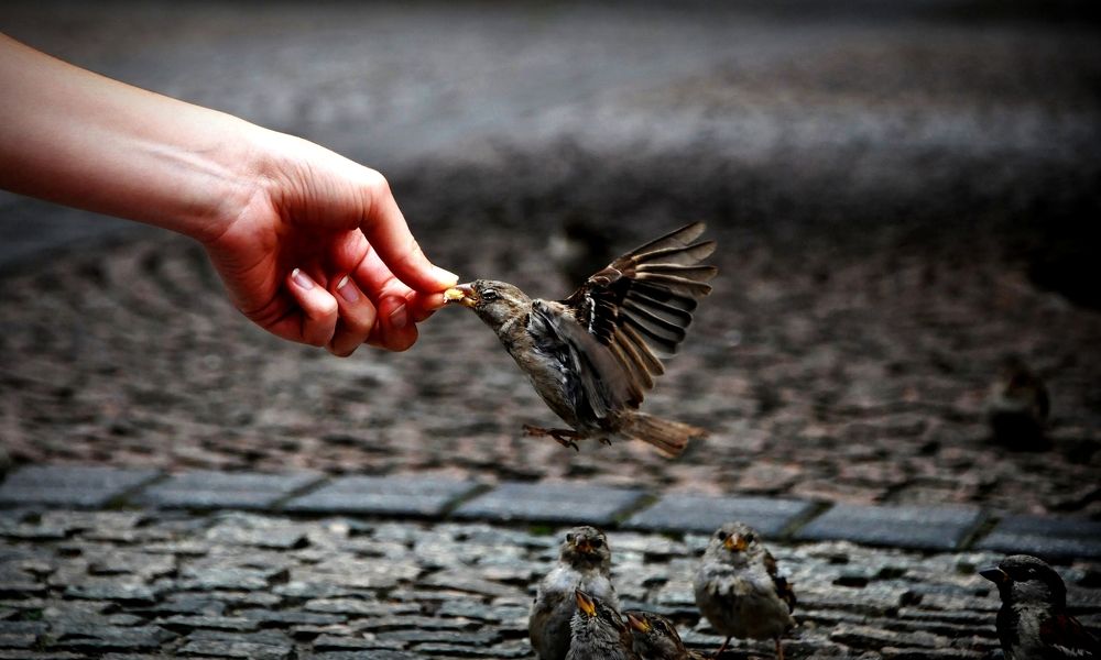 Photograph by Alp Ozmusaoglu