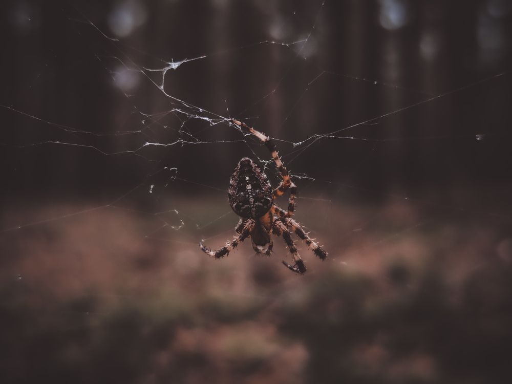 Photograph by Анастасия