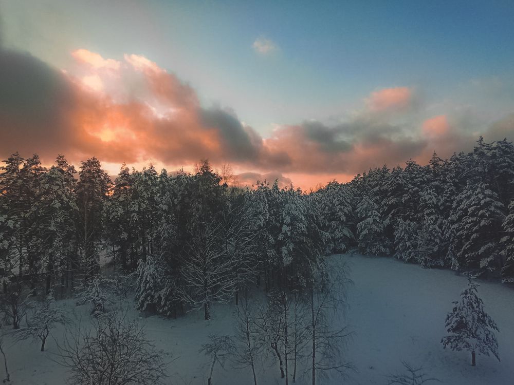 Photograph by Анастасия