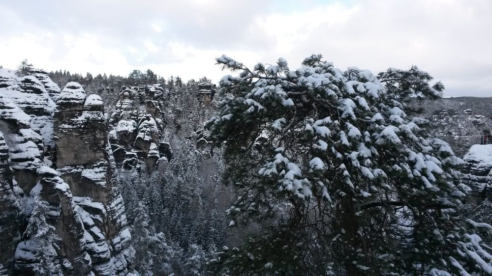 Фотография автора Natalia Khodina