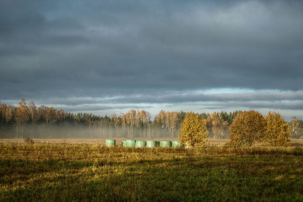 XXI century. Autumn 20. Page 1