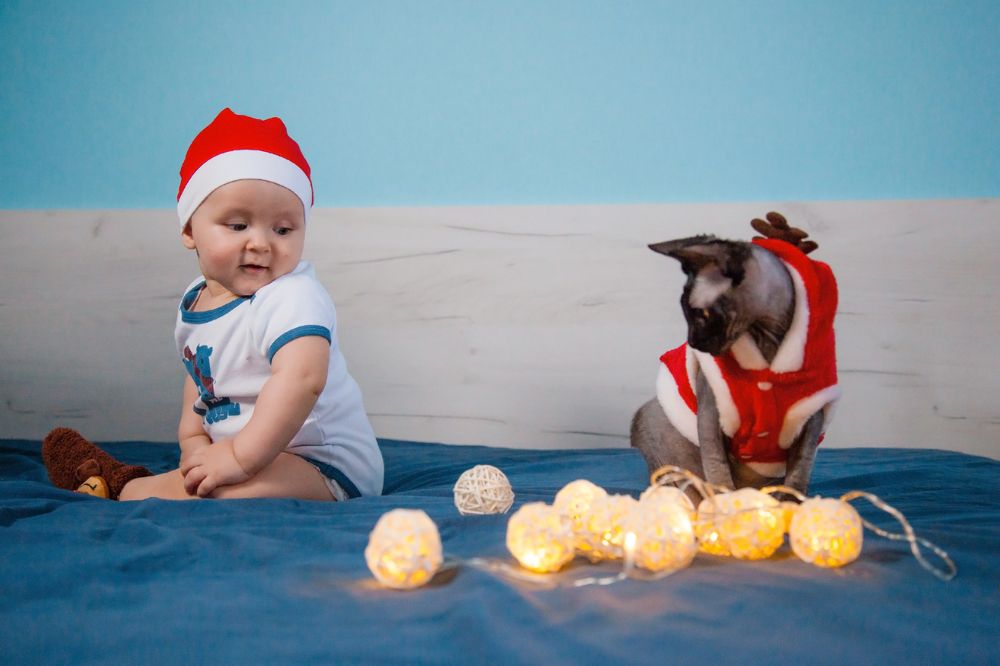 Photograph by Марат Марик