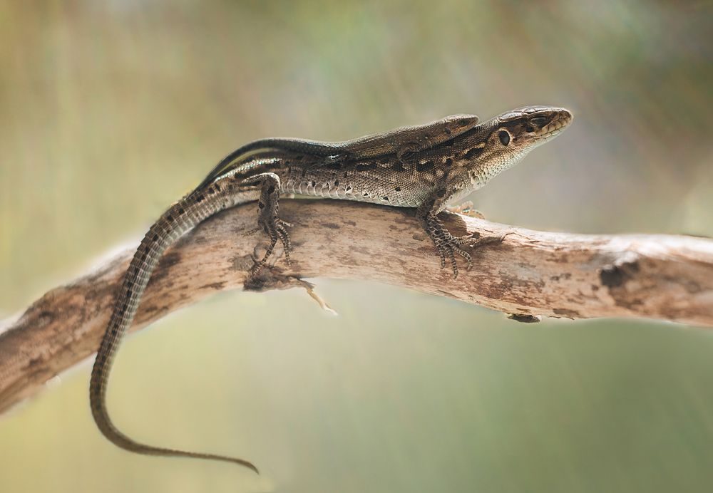 Photograph by Юлия Яремко