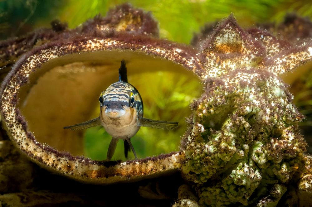 Photograph by Ясинский Юрий