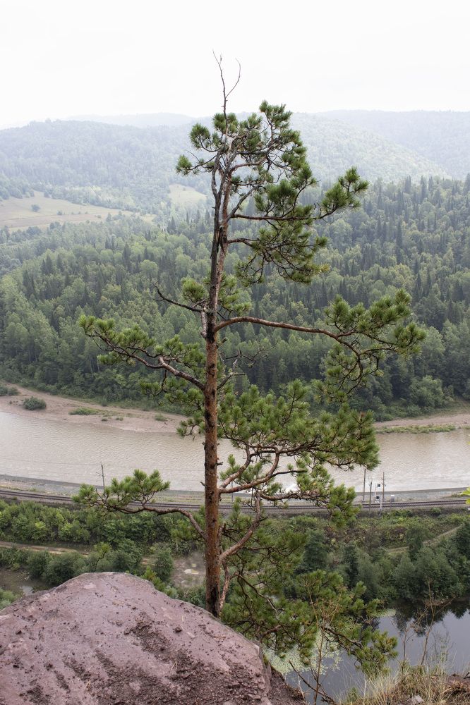 На вершине Розовых Скал