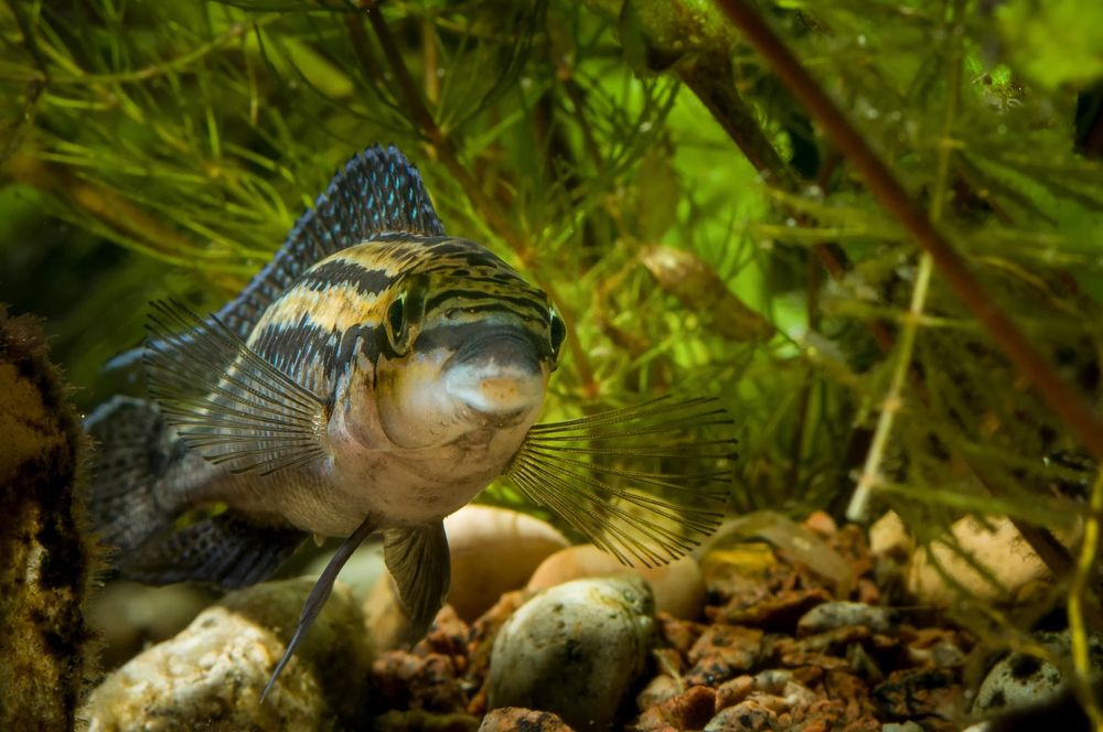 Photograph by Ясинский Юрий