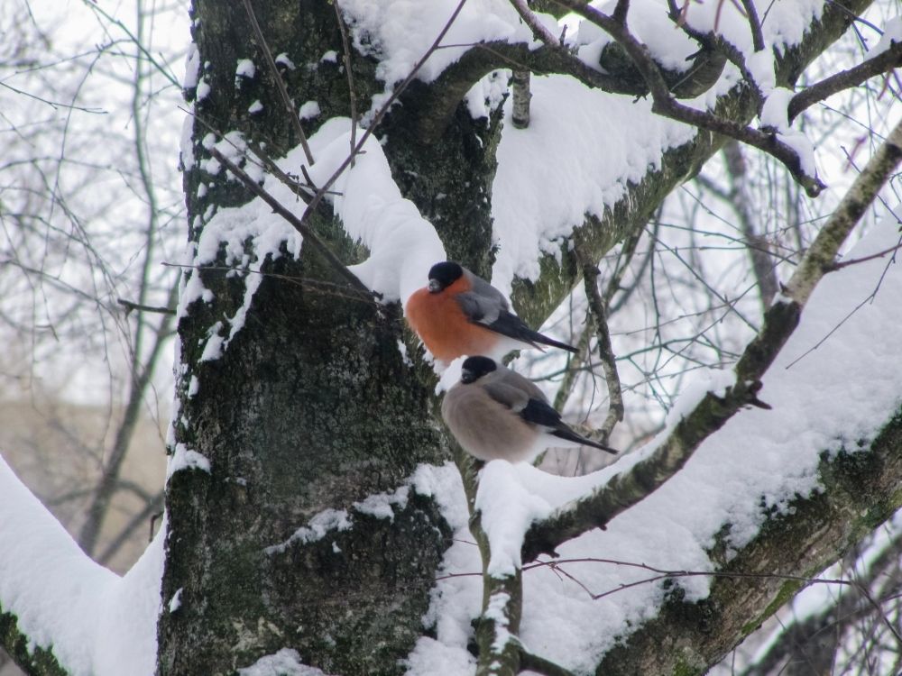 Photograph by Андрей