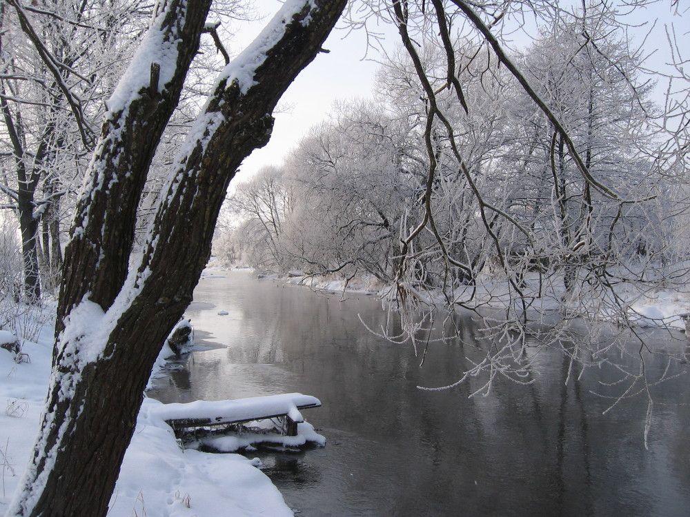 Photograph by Елена Апанель