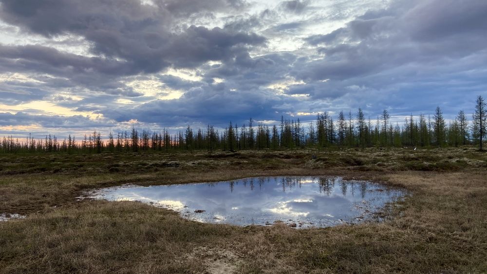 Фотография автора Илиза Майнурова