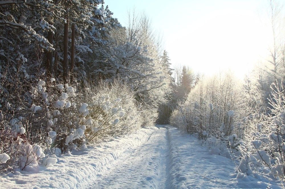 Photograph by Егор Журавлёв