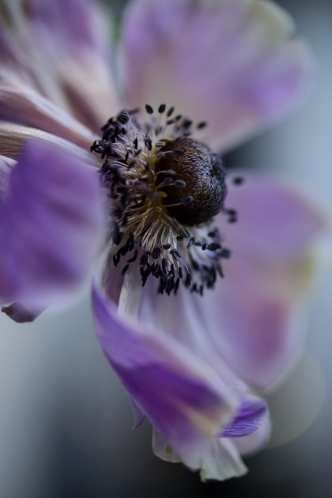 Photograph by Татьяна Кытина