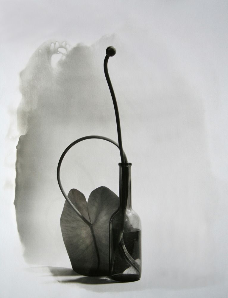 Фотография автора Виктор Кириллов