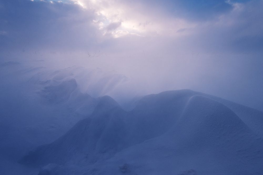 Photograph by Oleg Feofanov