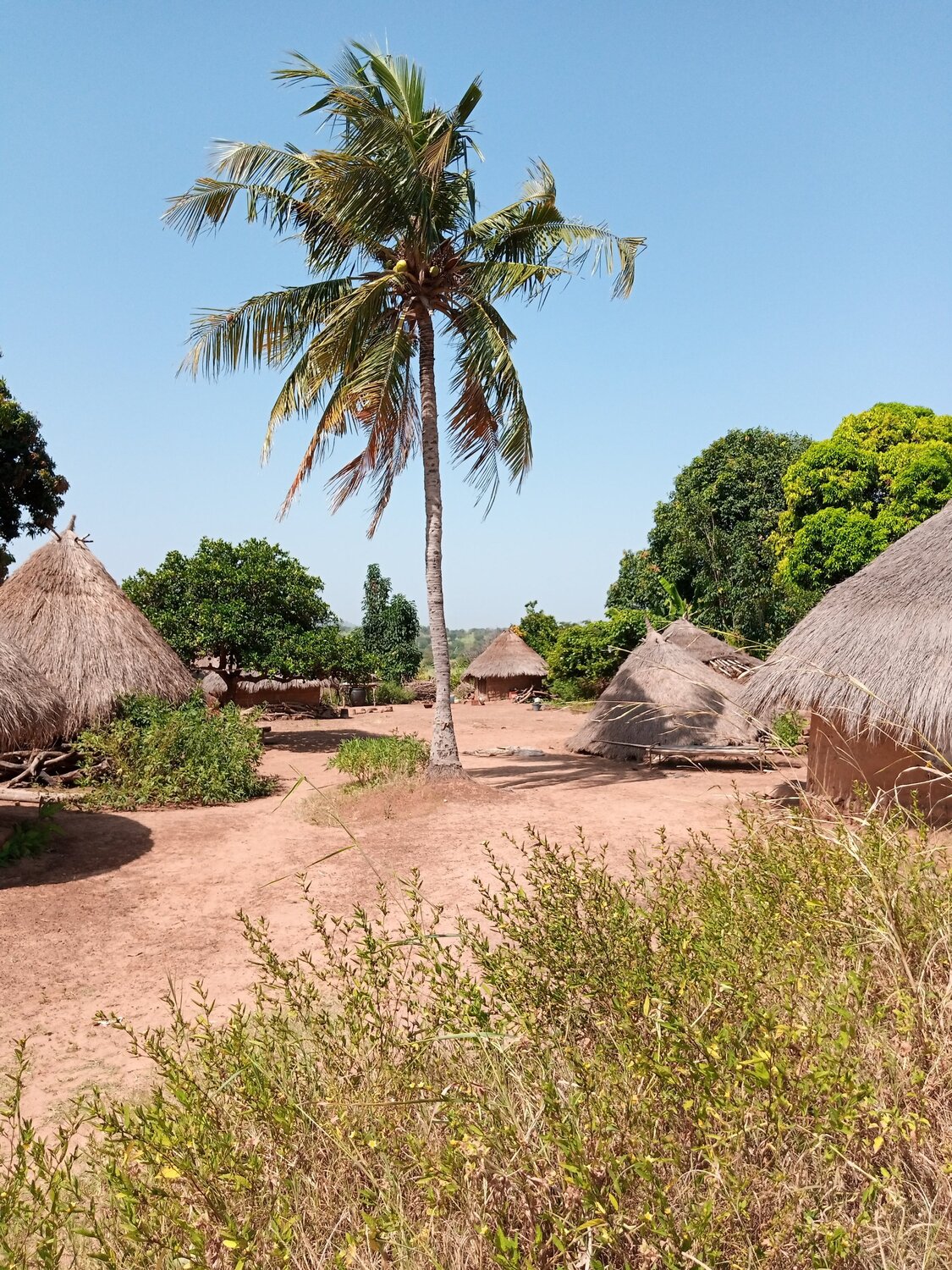 Landscape of a village settlement