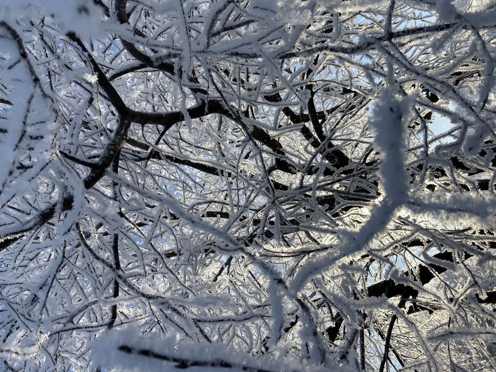 Фотография автора Илиза Майнурова