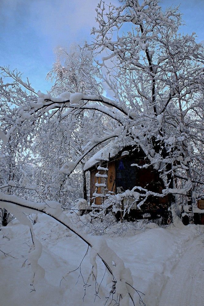 Photograph by Николай Почкалов