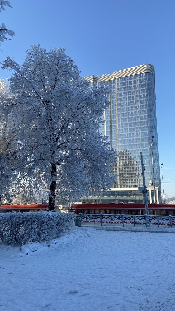 Фотография автора Илиза Майнурова