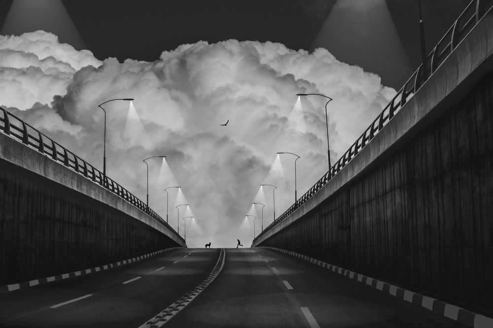 Photograph by aref tahmasbi