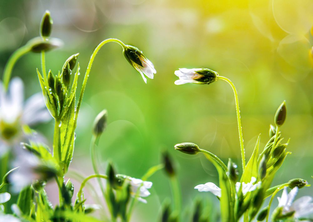 Photograph by Светлана Перминова