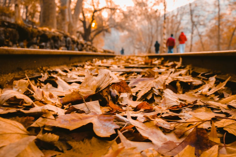 Photograph by Tigran Shishmanyan