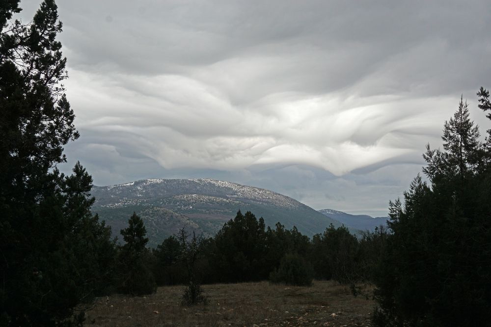 Photograph by света хлевненко