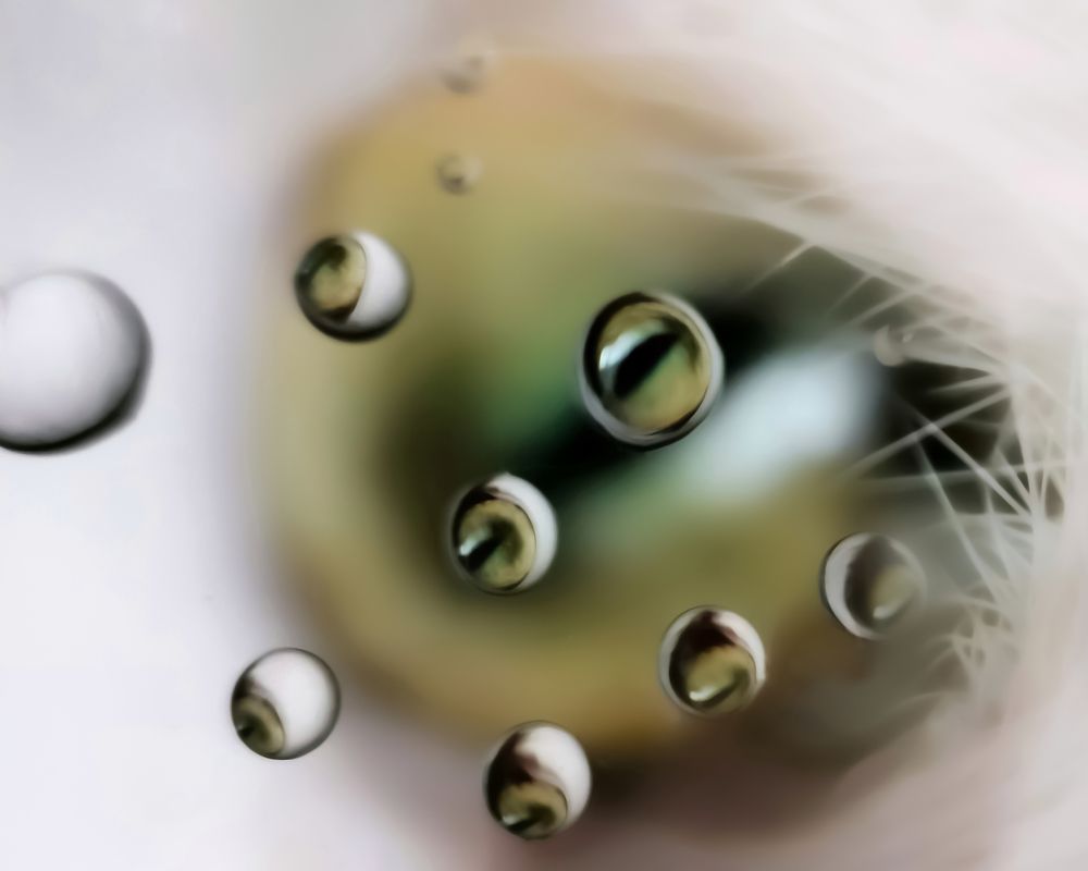 Photograph by Юлия Ледовская