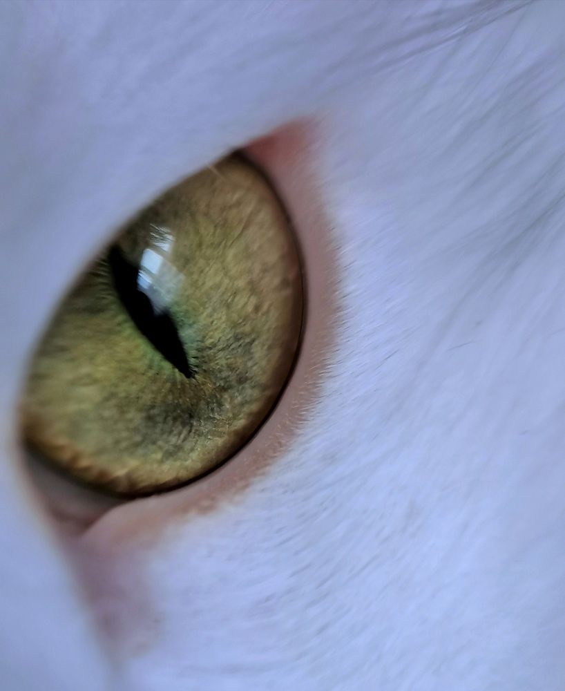 Photograph by Юлия Ледовская