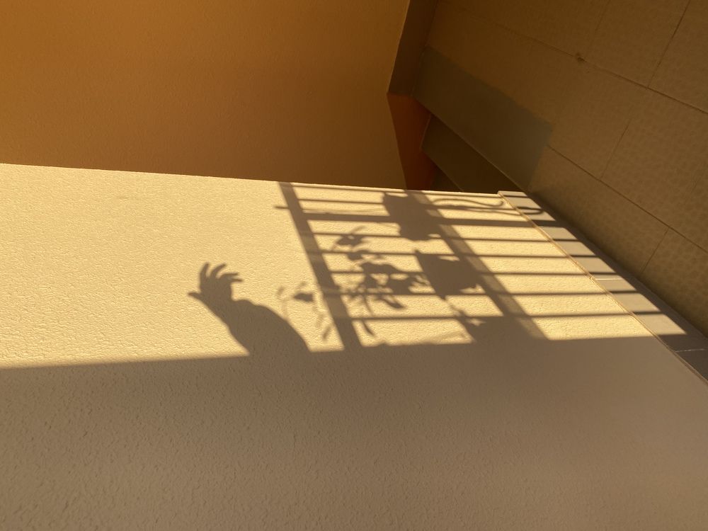 Photograph by Наталья Могилевская