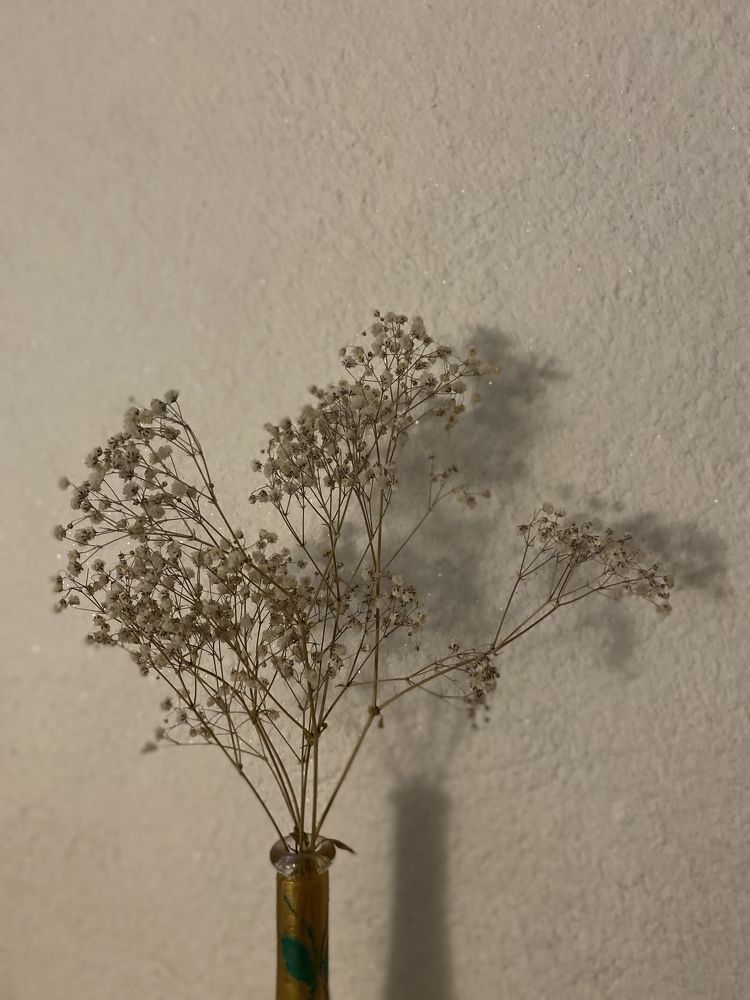 Photograph by Наталья Могилевская