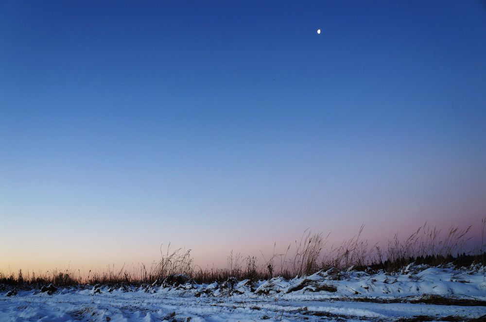 Photograph by Анна Алякина