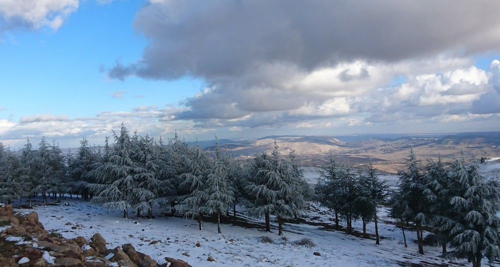 Photo by my lens from Algeria, the province of Setif