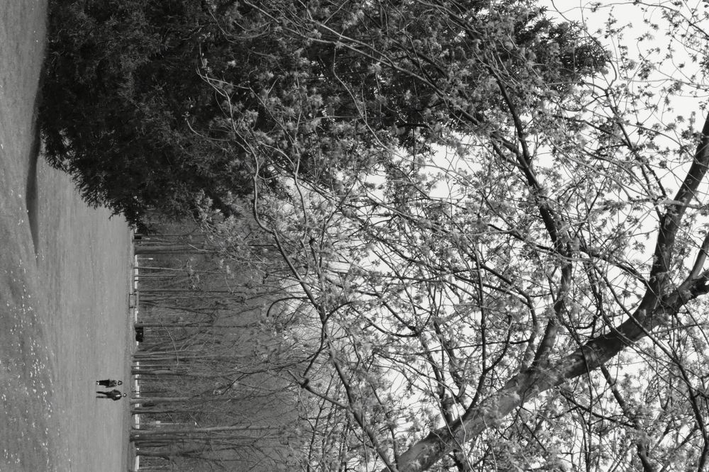 Photograph by Francisco Cabrera