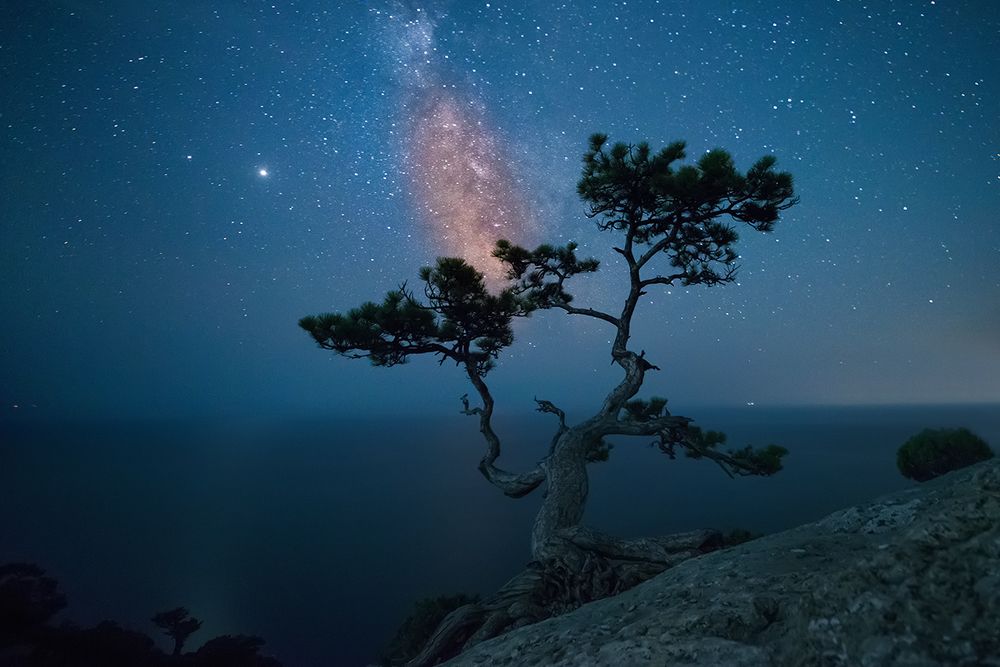 Photograph by Романский Владимир (NikonZoom)