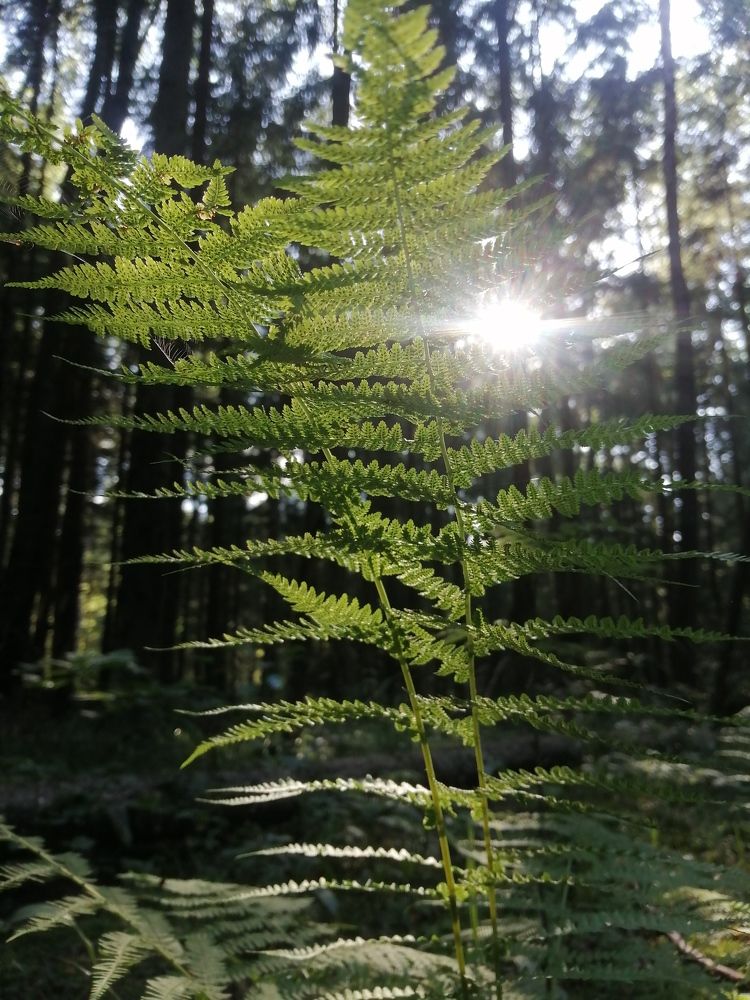 Photograph by Полина Зайцева