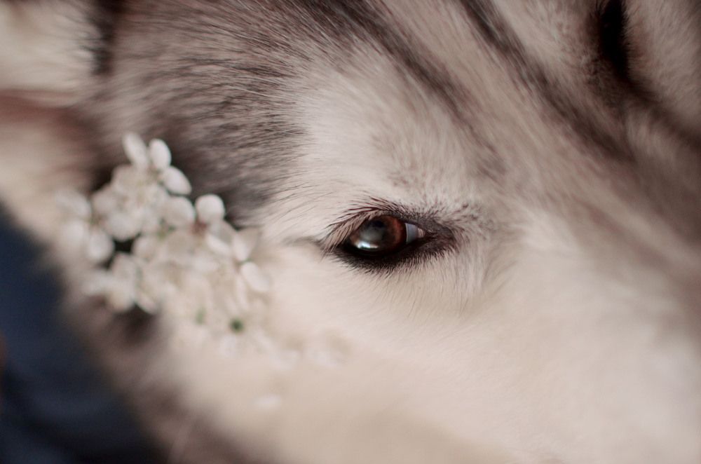 Фотография автора Виктория