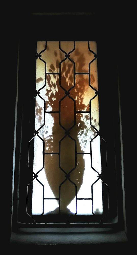 Photograph by Ирина Зима