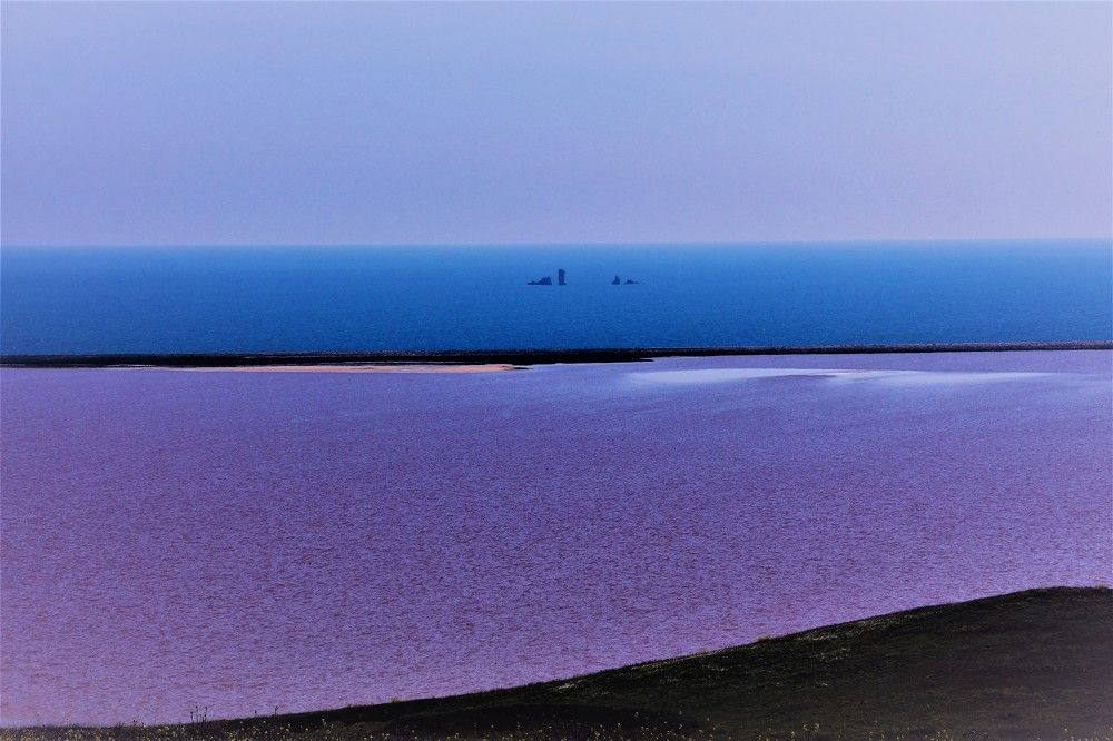 Photograph by света хлевненко