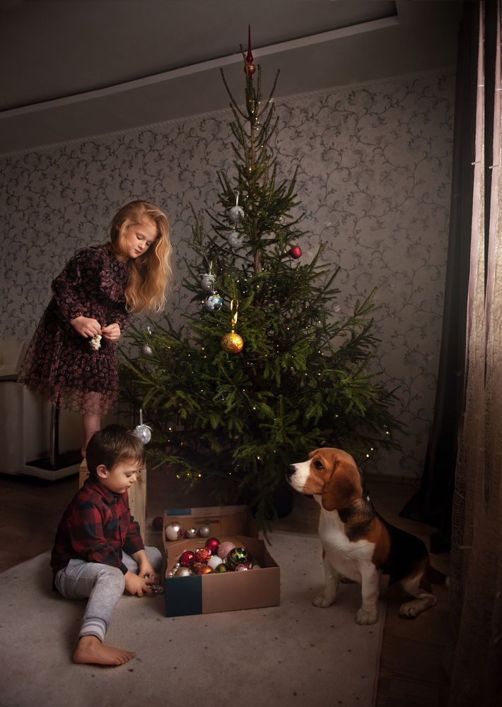 Photograph by Алена Пшеничная