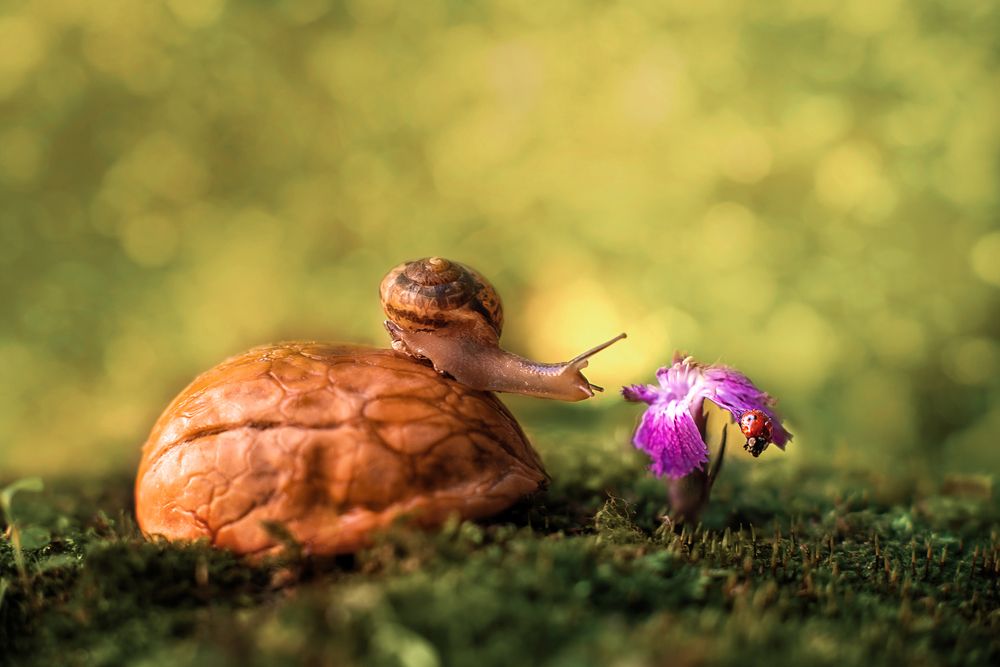 Photograph by Анастасия Думинская