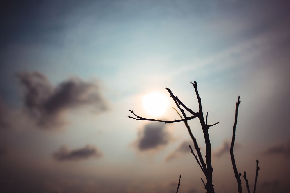 Photograph by Md. Sazzadur Rahman Sihab