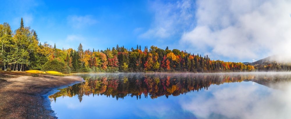 Утро на лесном озере.