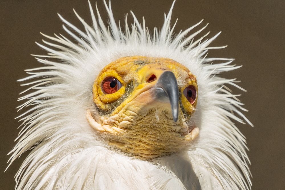 Фотография автора Prejul Prakash